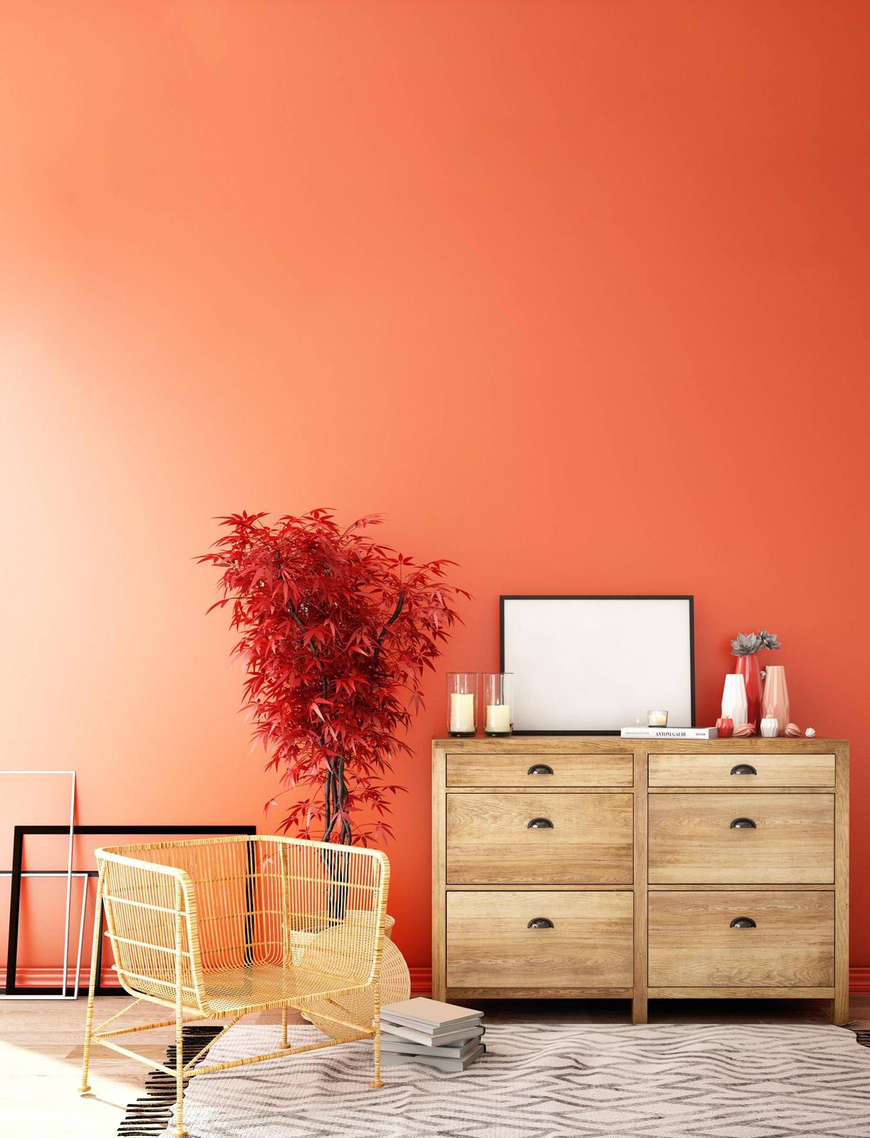 rénovation-intérieur